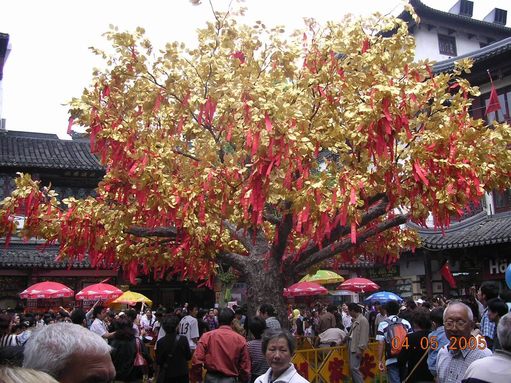 Albero con suppliche